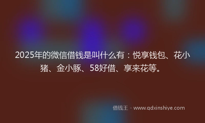 2025年的微信借钱是叫什么有：悦享钱包、花小猪、金小豚、58好借、享来花等。