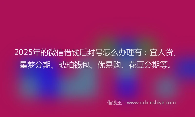 2025年的微信借钱后封号怎么办理有：宜人贷、星梦分期、琥珀钱包、优易购、花豆分期等。