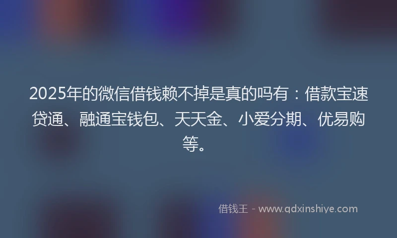 2025年的微信借钱赖不掉是真的吗有：借款宝速贷通、融通宝钱包、天天金、小爱分期、优易购等。