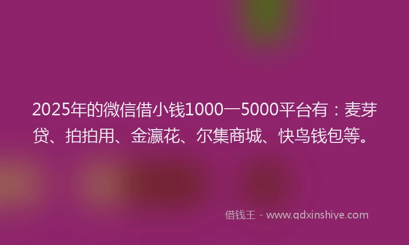 2025年的微信借小钱1000一5000平台有：麦芽贷、拍拍用、金瀛花、尔集商城、快鸟钱包等。