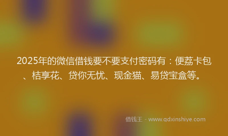 2025年的微信借钱要不要支付密码有：便荔卡包、桔享花、贷你无忧、现金猫、易贷宝盒等。