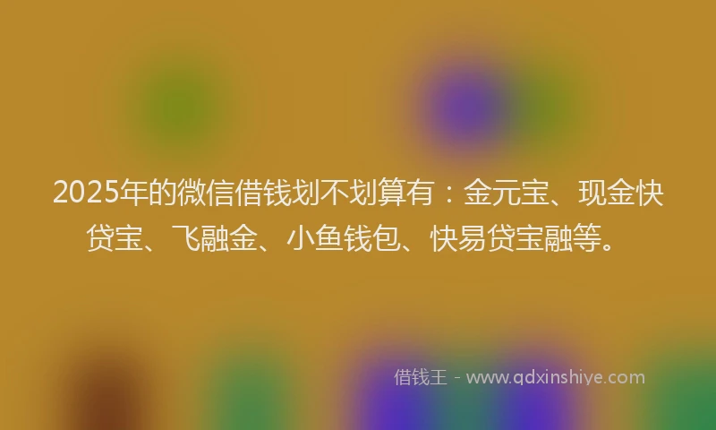 2025年的微信借钱划不划算有：金元宝、现金快贷宝、飞融金、小鱼钱包、快易贷宝融等。