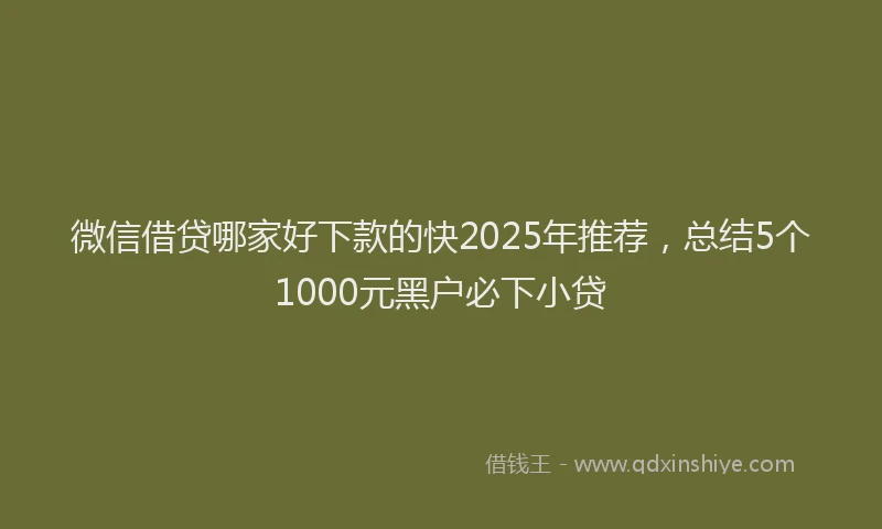 微信借贷哪家好下款的快2025年推荐，总结5个1000元黑户必下小贷