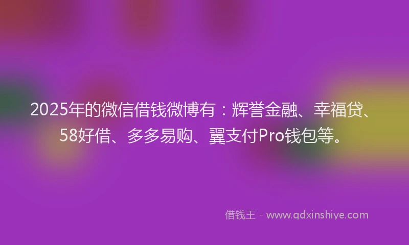 2025年的微信借钱微博有：辉誉金融、幸福贷、58好借、多多易购、翼支付Pro钱包等。
