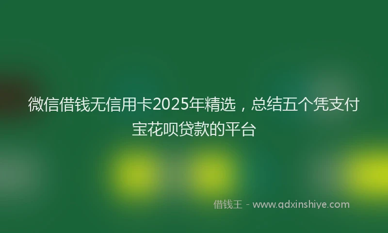 微信借钱无信用卡2025年精选，总结五个凭支付宝花呗贷款的平台