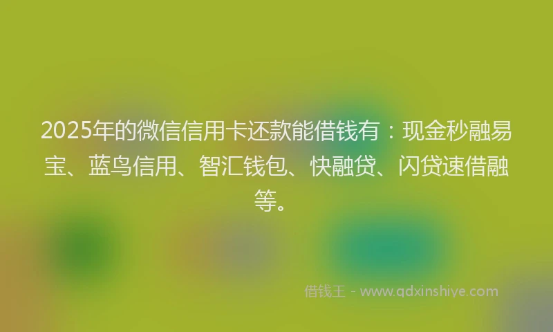 2025年的微信信用卡还款能借钱有：现金秒融易宝、蓝鸟信用、智汇钱包、快融贷、闪贷速借融等。