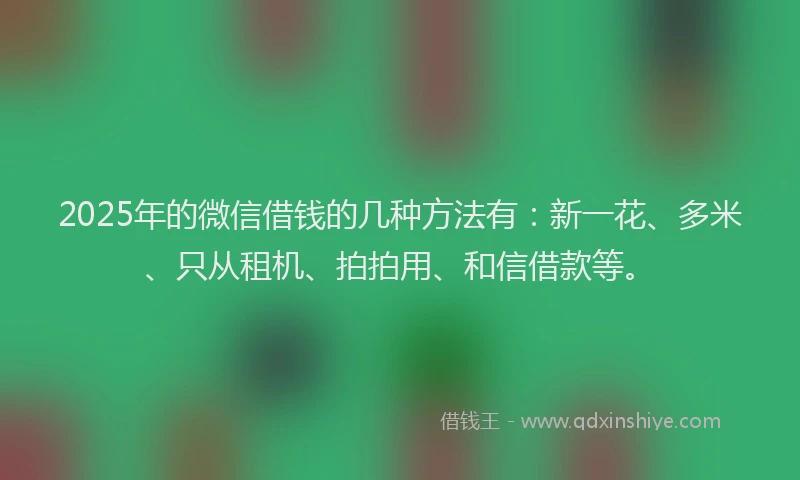 2025年的微信借钱的几种方法有：新一花、多米、只从租机、拍拍用、和信借款等。