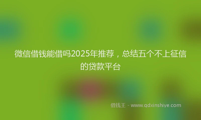 微信借钱能借吗2025年推荐，总结五个不上征信的贷款平台