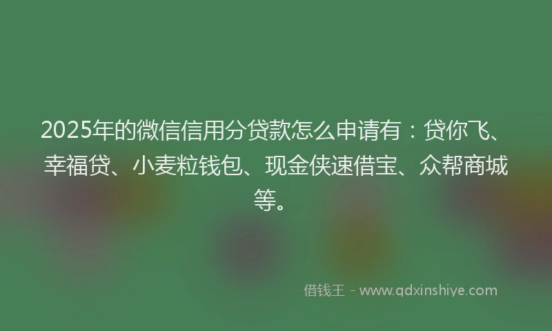 2025年的微信信用分贷款怎么申请有：贷你飞、幸福贷、小麦粒钱包、现金侠速借宝、众帮商城等。