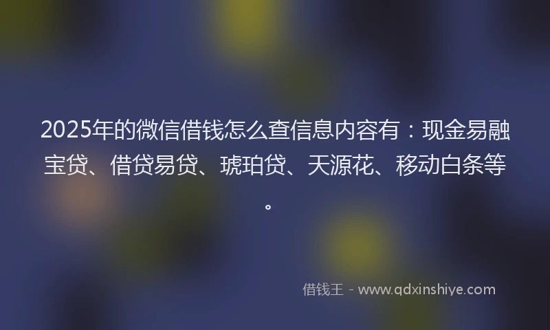 2025年的微信借钱怎么查信息内容有：现金易融宝贷、借贷易贷、琥珀贷、天源花、移动白条等。