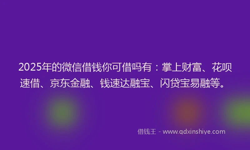 2025年的微信借钱你可借吗有：掌上财富、花呗速借、京东金融、钱速达融宝、闪贷宝易融等。