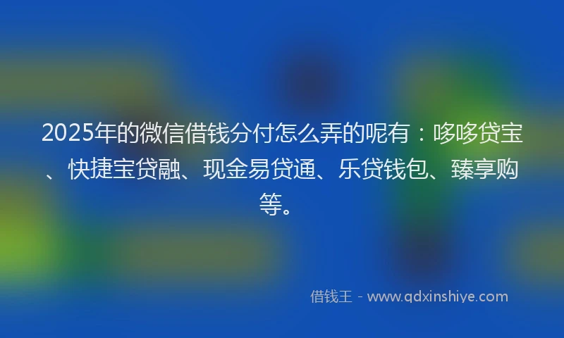 2025年的微信借钱分付怎么弄的呢有：哆哆贷宝、快捷宝贷融、现金易贷通、乐贷钱包、臻享购等。