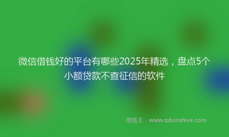 微信借钱好的平台有哪些2025年精选，盘点5个小额贷款不查征信的软件