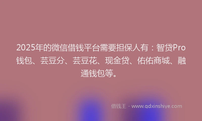 2025年的微信借钱平台需要担保人有：智贷Pro钱包、芸豆分、芸豆花、现金贷、佑佑商城、融通钱包等。