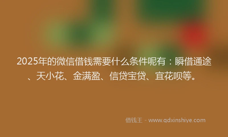 2025年的微信借钱需要什么条件呢有：瞬借通途、天小花、金满盈、信贷宝贷、宜花呗等。