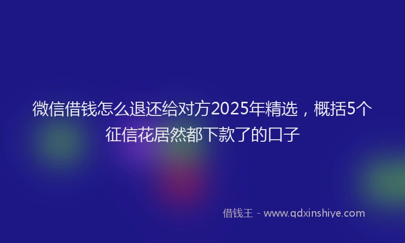 微信借钱怎么退还给对方2025年精选，概括5个征信花居然都下款了的口子