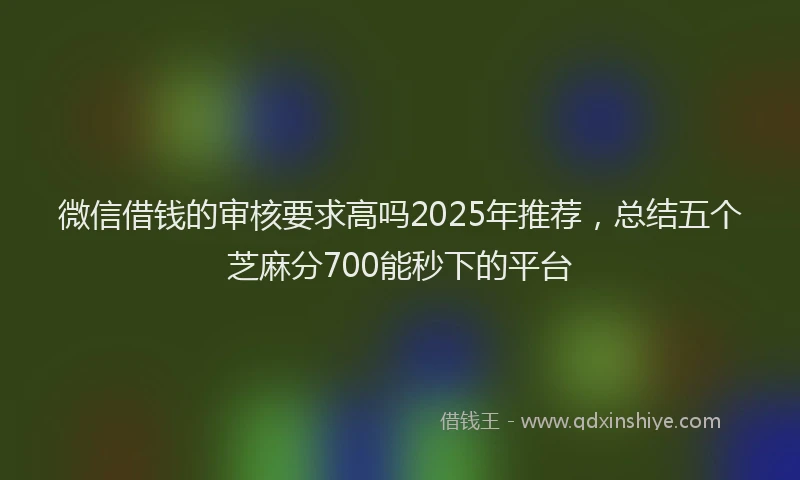 微信借钱的审核要求高吗2025年推荐，总结五个芝麻分700能秒下的平台