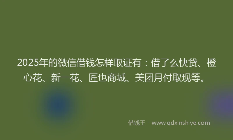 2025年的微信借钱怎样取证有：借了么快贷、橙心花、新一花、匠也商城、美团月付取现等。