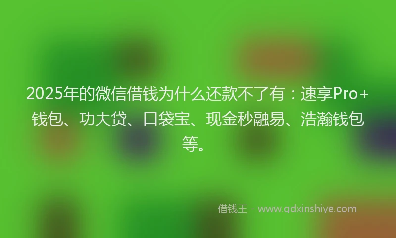 2025年的微信借钱为什么还款不了有：速享Pro+钱包、功夫贷、口袋宝、现金秒融易、浩瀚钱包等。