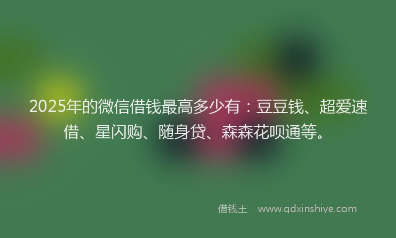 2025年的微信借钱最高多少有：豆豆钱、超爱速借、星闪购、随身贷、森森花呗通等。