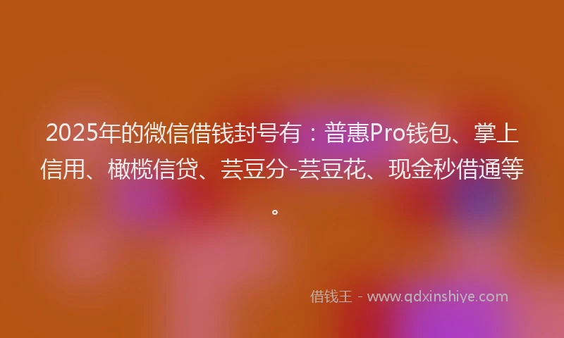 2025年的微信借钱封号有：普惠Pro钱包、掌上信用、橄榄信贷、芸豆分-芸豆花、现金秒借通等。