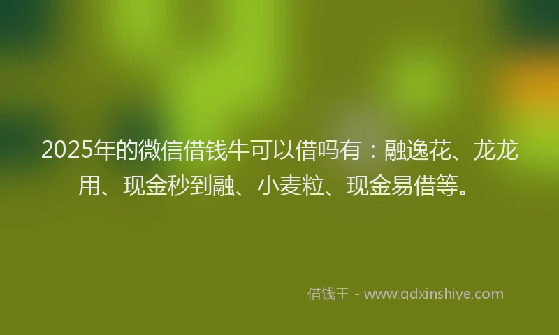 2025年的微信借钱牛可以借吗有：融逸花、龙龙用、现金秒到融、小麦粒、现金易借等。