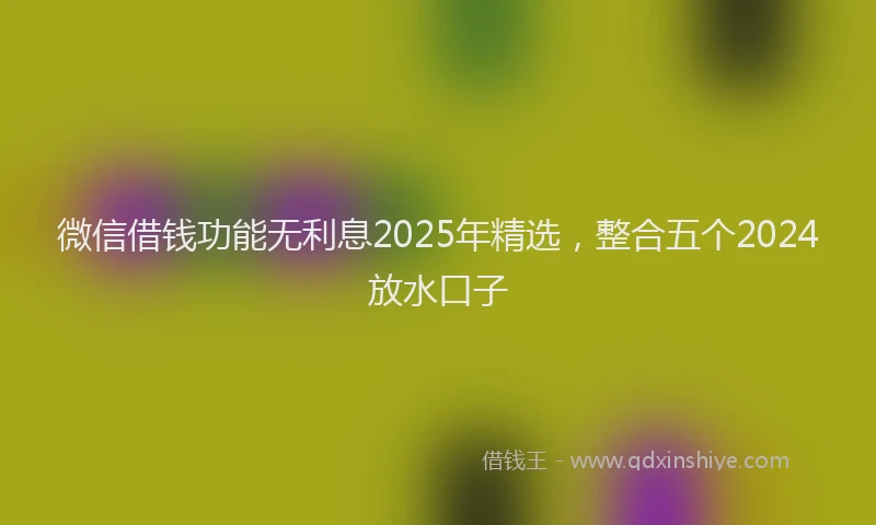 微信借钱功能无利息2025年精选，整合五个2024放水口子