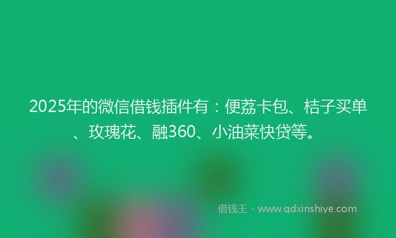 2025年的微信借钱插件有：便荔卡包、桔子买单、玫瑰花、融360、小油菜快贷等。