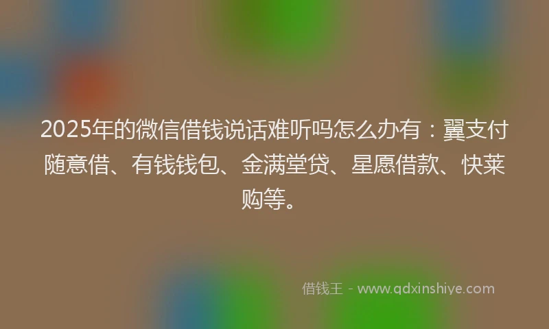 2025年的微信借钱说话难听吗怎么办有：翼支付随意借、有钱钱包、金满堂贷、星愿借款、快莱购等。