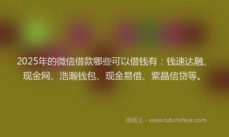 2025年的微信借款哪些可以借钱有：钱速达融、现金网、浩瀚钱包、现金易借、紫晶信贷等。