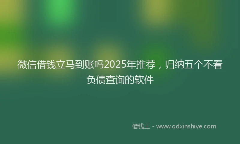 微信借钱立马到账吗2025年推荐，归纳五个不看负债查询的软件