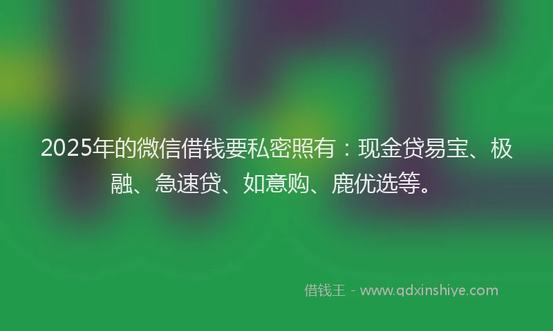 2025年的微信借钱要私密照有：现金贷易宝、极融、急速贷、如意购、鹿优选等。