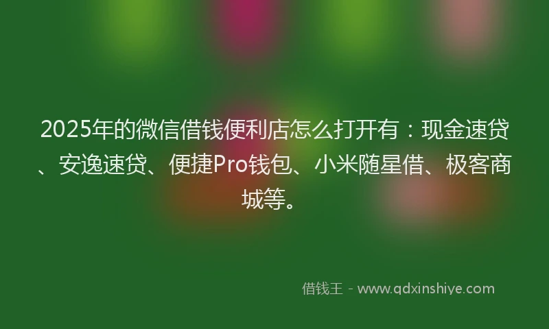 2025年的微信借钱便利店怎么打开有：现金速贷、安逸速贷、便捷Pro钱包、小米随星借、极客商城等。