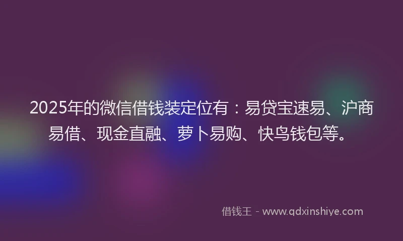 2025年的微信借钱装定位有：易贷宝速易、沪商易借、现金直融、萝卜易购、快鸟钱包等。