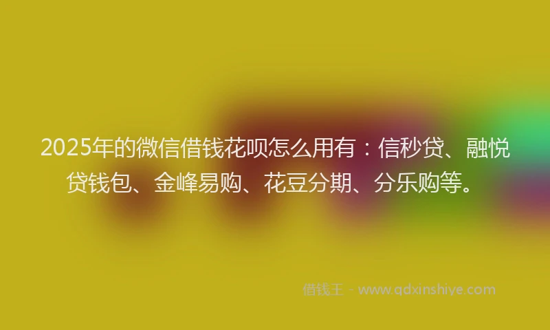 2025年的微信借钱花呗怎么用有：信秒贷、融悦贷钱包、金峰易购、花豆分期、分乐购等。
