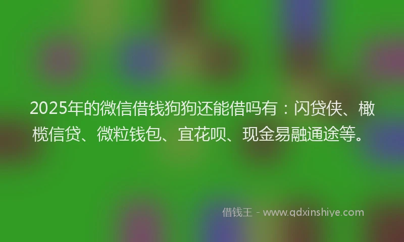 2025年的微信借钱狗狗还能借吗有：闪贷侠、橄榄信贷、微粒钱包、宜花呗、现金易融通途等。