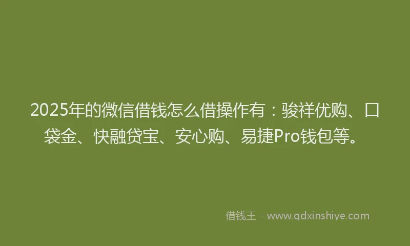 2025年的微信借钱怎么借操作有：骏祥优购、口袋金、快融贷宝、安心购、易捷Pro钱包等。