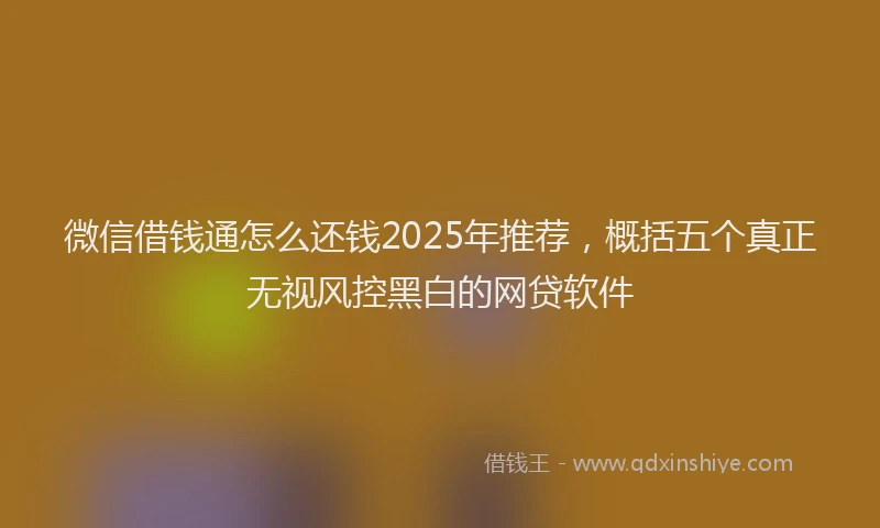 微信借钱通怎么还钱2025年推荐，概括五个真正无视风控黑白的网贷软件