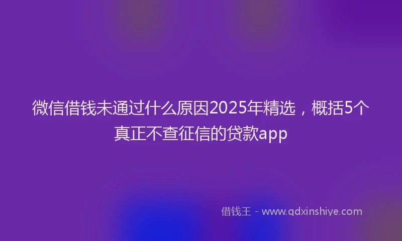 微信借钱未通过什么原因2025年精选，概括5个真正不查征信的贷款app