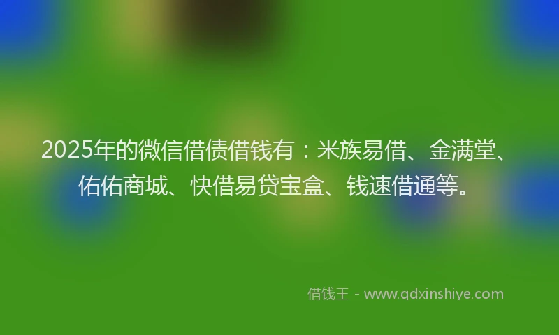2025年的微信借债借钱有：米族易借、金满堂、佑佑商城、快借易贷宝盒、钱速借通等。