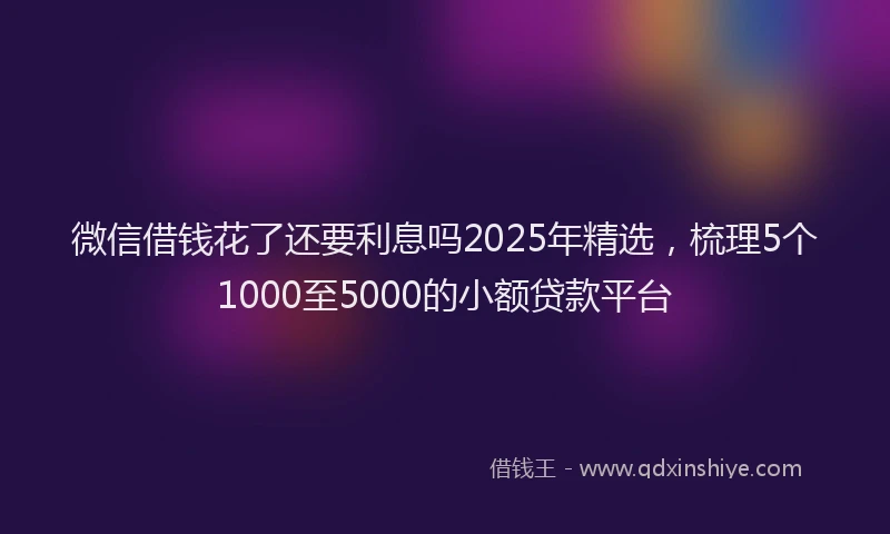 微信借钱花了还要利息吗2025年精选，梳理5个1000至5000的小额贷款平台