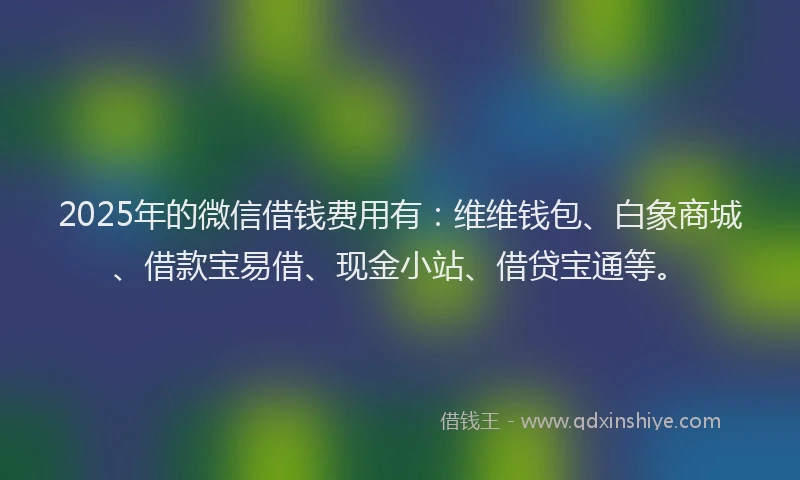 2025年的微信借钱费用有：维维钱包、白象商城、借款宝易借、现金小站、借贷宝通等。