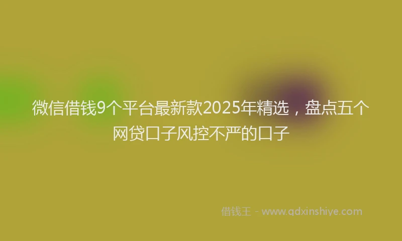 微信借钱9个平台最新款2025年精选，盘点五个网贷口子风控不严的口子