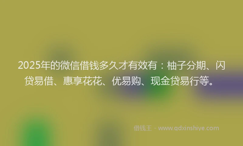 2025年的微信借钱多久才有效有：柚子分期、闪贷易借、惠享花花、优易购、现金贷易行等。