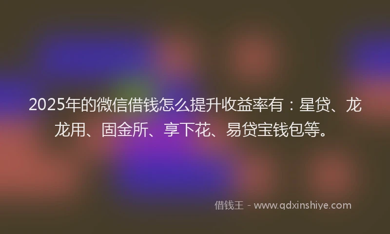 2025年的微信借钱怎么提升收益率有：星贷、龙龙用、固金所、享下花、易贷宝钱包等。