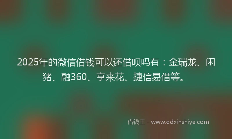 2025年的微信借钱可以还借呗吗有：金瑞龙、闲猪、融360、享来花、捷信易借等。