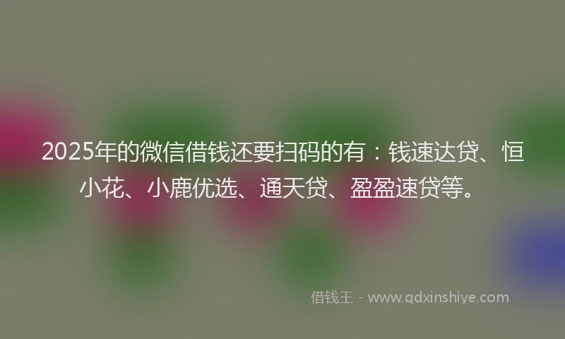 2025年的微信借钱还要扫码的有：钱速达贷、恒小花、小鹿优选、通天贷、盈盈速贷等。