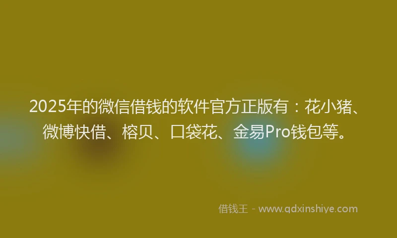 2025年的微信借钱的软件官方正版有：花小猪、微博快借、榕贝、口袋花、金易Pro钱包等。