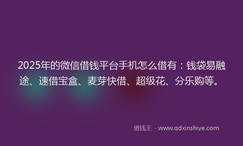 2025年的微信借钱平台手机怎么借有：钱袋易融途、速借宝盒、麦芽快借、超级花、分乐购等。