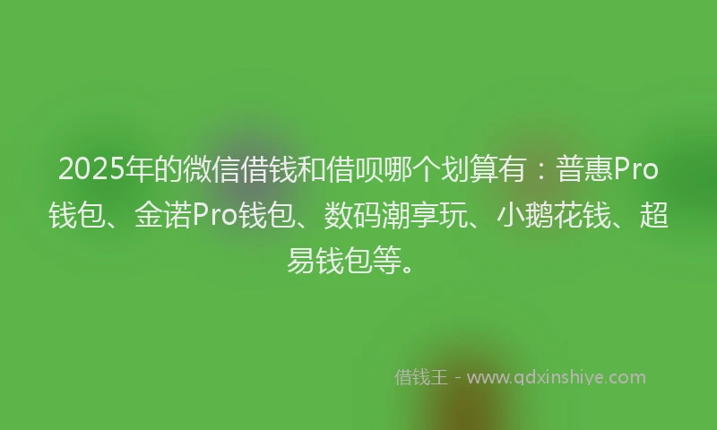 2025年的微信借钱和借呗哪个划算有：普惠Pro钱包、金诺Pro钱包、数码潮享玩、小鹅花钱、超易钱包等。